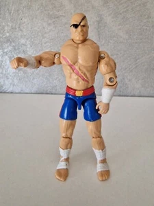GI JOE STREET FIGHTER SAGAT - Picture 1 of 6