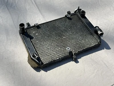 Yamaha YZF R6 1999-2002 OEM MOTOR RADIADOR MOTOR ENFRIADOR RADIADOR DE REFRIGERACIÓN Foto 1 de 4