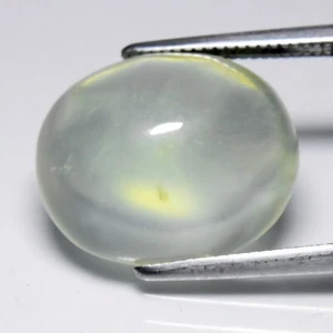 💎 Cabochon ovale 10,47 ct 14,8 x 12,5 mm prehnite verde naturale - Africa - Foto 1 di 10