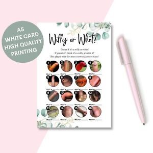 Hen Night Party Games, Willy or What, Dirty Party Game, Funny Bridal Shower Game