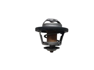 Aprilia RS 457 2024 Thermostat 1A021484 Original With 2996 Km - Picture 1 of 8