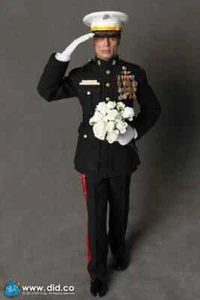 DID A80092 USMC Force Recon - Brigadier General "Frank" 1/6 Aciton Figure - Picture 1 of 1