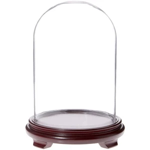 Plymor 8" x 12" Glass Display Dome Cloche (Red Wood Veneer Footed Base) - Picture 1 of 1