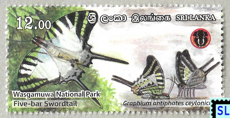 Sri Lanka Stamps 2019, Wasgamuwa National Park, Butterfly, 1 of 6v, MNH - Image 1 of 1