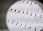 BLUE Second Hands, short, for wrist watch (60 pcs for 1price) for watch repair