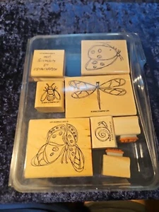 Winged Things Stampin Up! - Bild 1 von 3
