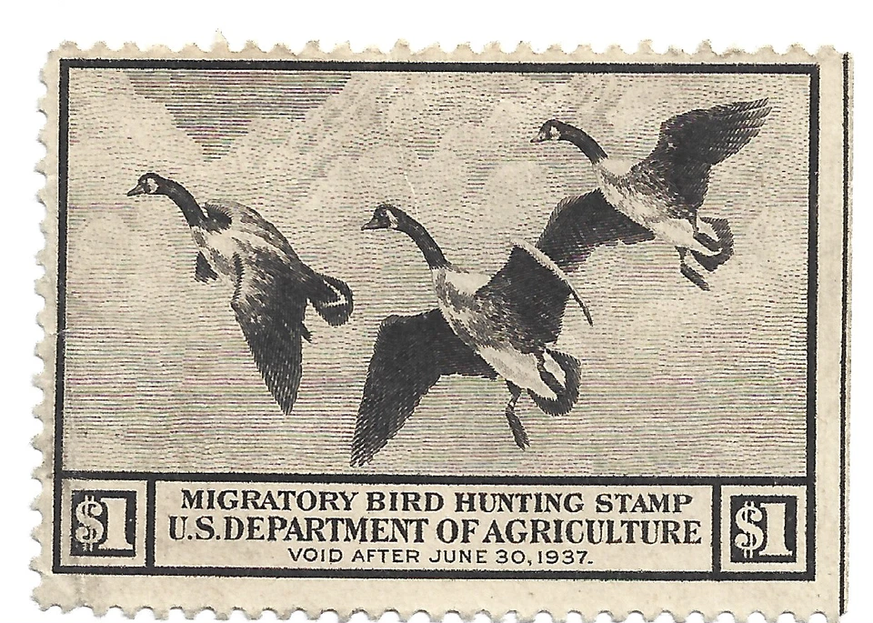 UNITED STATES Sc. #RW3 scarce mint MNH Federal Duck stamp! SCV $375.00 - Image 1 of 1