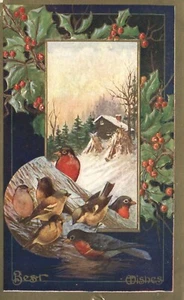 Best Wishes Embossed Birds Holly Snow House on Hill 1910 Christmas Postcard - Picture 1 of 2