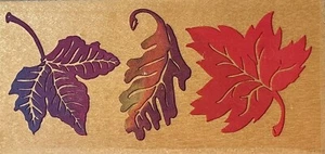All Night Media Rubber Stamp 550-J18 Leaf Border Posh Impressions Fall Autumn - Picture 1 of 4