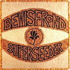 The Bevis Frond - Superseeder [CD]