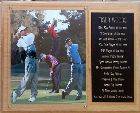 Tiger Woods PGA 12x15 Stats Plaque Cover