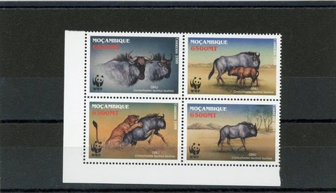 Mozambique 2000 Scott# 1377 Mint NH Cover