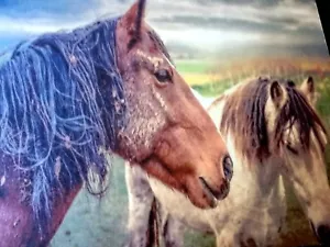 HORSE Muddy Horse farm country living Fur Babies Anti slip MOUSE PAD 9 X 7" USA - Picture 1 of 6
