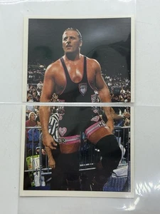Owen Hart 1997 Panini WWF 2 Card Puzzle Set #139 140 WWE New Japan Pro Wrestling - Picture 1 of 2