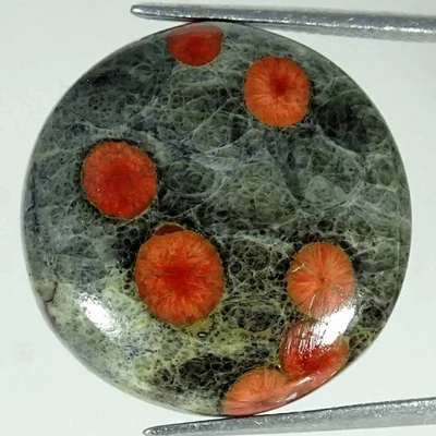 21.20Cts Natural Mexican Peanut Obsidian Round Cabochon Loose Gemstone 23x5mm Foto 1 de 4