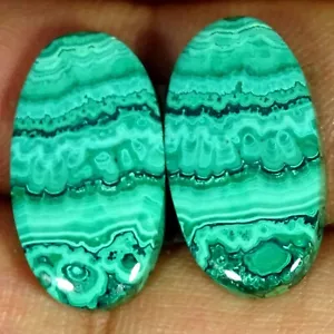 22.40 Cts Natural Oval Malachite Handcrafted Cabochon Pair Gemstone 12X21X3MM - Picture 1 of 7