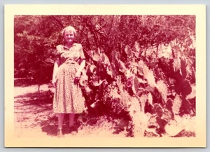 Foto encontrada de mujer mayor de pie con cactus grande vacaciones en México década de 1950 - Imagen 1 de 2