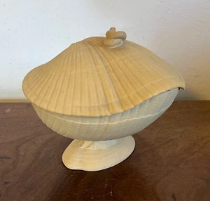 Antigua puré de salsa de caña de Wedgwood de principios del siglo XIX Nautilus Sea Shell - Imagen 1 de 14