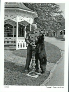 *NH Postcard-"Moxie The Bear at Water Fountain-Gazebo" /Clark's Post/ {G166-S1} - Picture 1 of 2