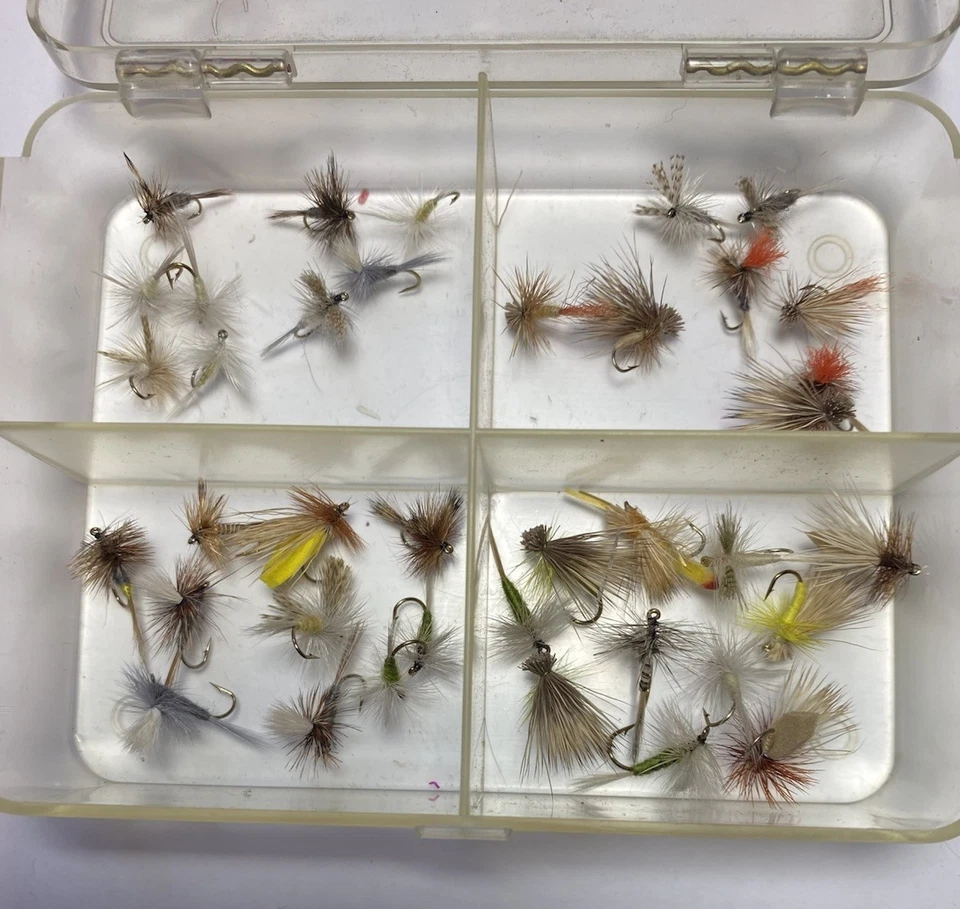 3 Dozen  Dry Flues in Myran plastic box - Image 1 of 1