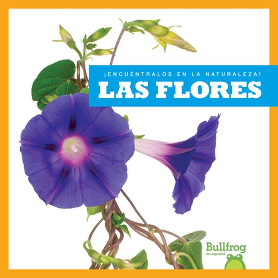 Las Flores (Flowers) by Jenna Lee Gleisner (Spanish) Paperback Book - Image 1 of 1