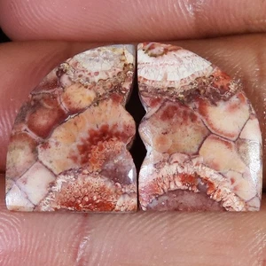 18.75 Cts  Natural Bird Eye Jasper Pair Cabochon Gemstone 14x19x3 mm TP621 - Picture 1 of 7