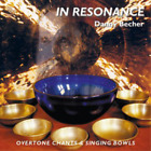 Danny Becher In Resonance (CD) Album