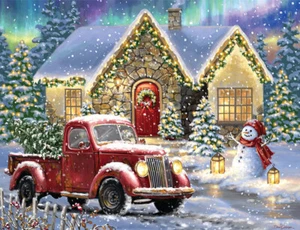 Springbok Christmas Light Lane 500 Piece Jigsaw Puzzle By Dona Gelsinger - Picture 1 of 1
