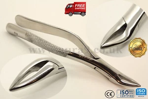 Dental Forcep modello USA n. 69 frammenti e piccole radici superiore e inferiore - Foto 1 di 1