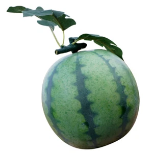 simulation fruit toy Decor Artificial Artificial Watermelon for Display - Picture 1 of 12