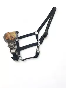 Bronc Halter for Horses, Decorated with feather flower carving with cow hide - Picture 1 of 14