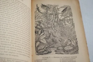 MOEURS ETRANGES DES REPTILES VERRILL 46 GRAVURES PAYOT 1943 - Picture 1 of 3