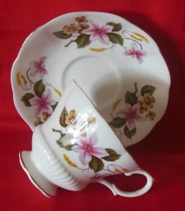 Royal Albert England Bone China Footed Cup & Saucer Pink & Orange Floral - Picture 1 of 14