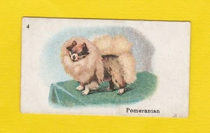 DOGS - B.A.T. CO. LTD. - SCARCE DOG CARD - POMERANIAN - 1913 - Picture 1 of 2