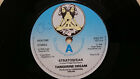 Tangerine Dream Stratosfear Allemand Krautrock UK Virgin Promo Single 1976