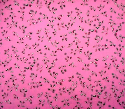 Tela de edredón por yarda pequeña roja negra blanca gris hojas florales en algodón rosa #PC Foto 1 de 2