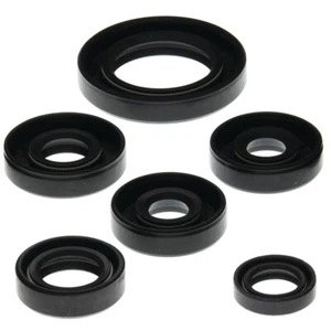 Engine Oil Seals Kit For Bombardier DS 650 2000-2007 - Picture 1 of 1