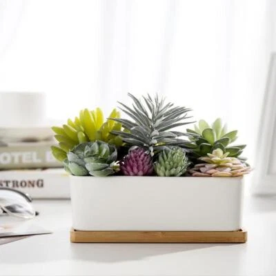 Potted Realistic Artificial Succulents in Ceramic Pot Planter with Bamboo Tray - Image 1 of 4