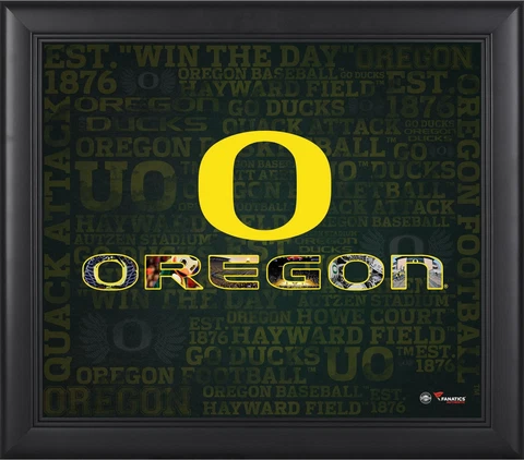 Ducks Framed 15x17 Team Heritage Collage - Fanatics Cover