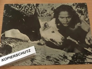 Postkarte Mogli mit Wolf und Panther, Dschungelbuch, alte Ansichtskarte - Bild 1 von 2