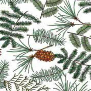 Evergreen Tissue Paper 500mm x 750mm Multi Listing - Picture 1 of 3