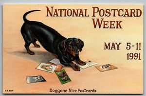 National Postcard Week - Dog  Postcard by S.E. Kemp 1991 - Picture 1 of 2