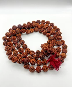 Certificato 108 Autentico 5 Perline Mukhi Nepalese Rudraksha|Perline Guarigione|Spirituale - Foto 1 di 4