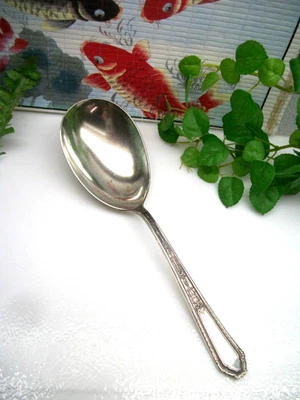 Cazuela o cuchara para servir bayas International Rogers CHALFONTE plateada de 9" Foto 1 de 4