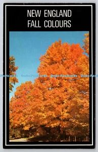 R743033 New England Herbstfarben Frank L Forward Dexter Press Forwards Farbprod - Bild 1 von 4