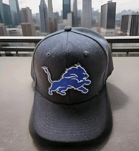 Detroit Lionst Logo Black Hat Cap NEW ๐ GREAT .Look. - Picture 1 of 3