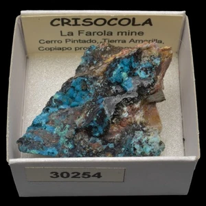 CRISOCOLA (La Farola mine, Copiapo, Atacama, Chile) #30254 / Chrysocolla - Picture 1 of 1