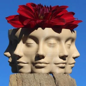 The VASE FACE | Face Planter for Succulents, Cactus, Plants - Picture 1 of 280