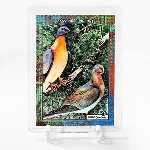 PASSENGER PIGEONS 1907 Illustration Card 2024 GleeBeeCo Holographic #PS19 - Picture 1 of 2
