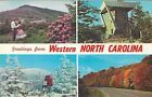 Vintage North Carolina Chrome Postcard Greetings From Banner Four Seasons